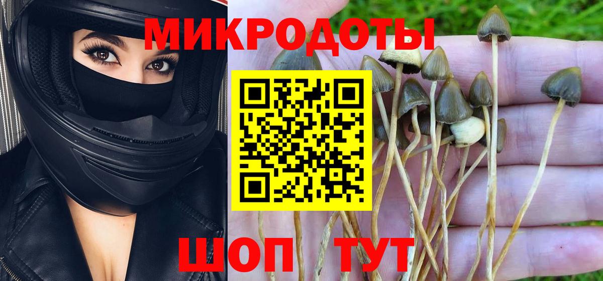 Псилоцибиновые грибы Psilocybine cubensis  Вход с VPN  Нижнеудинск 