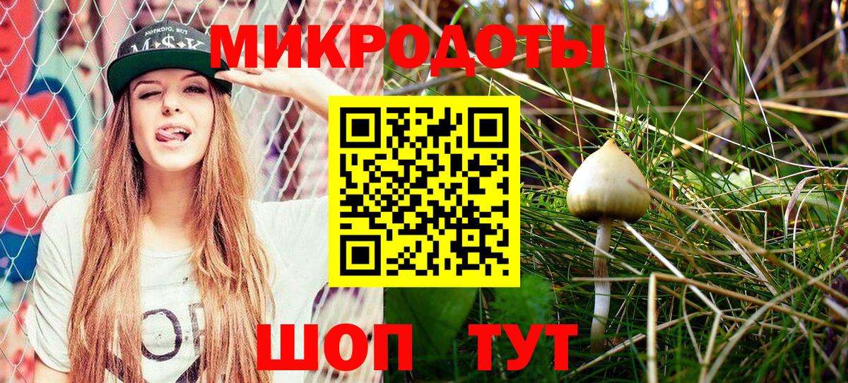 Псилоцибиновые грибы Psilocybine cubensis Нижнеудинск